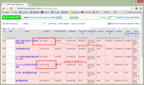高效組織團(tuán)隊 20人同時開發(fā)多個產(chǎn)品的管理策略