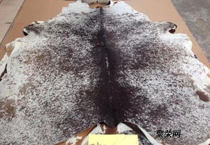 皮革進口總代理直銷 品質、服務與供應鏈的完美融合